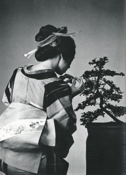 thekimonogallery:  With bonsai in Japan. Image via Pinterest 