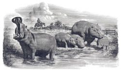rhamphotheca:  The Crazy, Ingenious Plan to Bring Hippopotamus Ranching to America by Greg Miller In the early years of the last century, the U.S. Congress considered a bold and ingenious plan that would simultaneously solve two pressing problems —