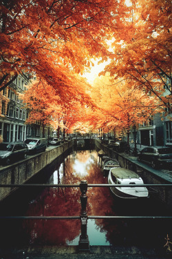 italian-luxury:  Amsterdamn Autumn  | Source  | Italian-Luxury | Instagram