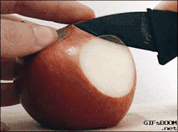 gifsboom:  Slicing an apple with an extremely sharp knife.Via (thebigsexy1)