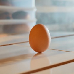 To make an egg stand&hellip;