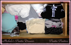 It’s a peek in Michele’s Pantie Drawer.  Michele is a 30 year old school teacher.  Now, how many of you naughty boys out there ever  wanted to play in a teacher panties.  I’ll guess  all of you.  ~ Pattie