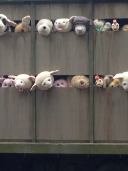 banksystreetart:  Stuffed Animals in Meat Truck Greenwich Ave and 10th street NYC 15 minutes ago 