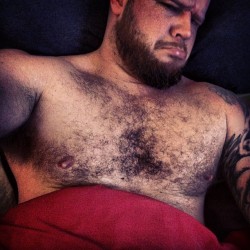 aussiegrunt:  I don’t want to get out of bed …and yes I know it’s after midday! fuck off!