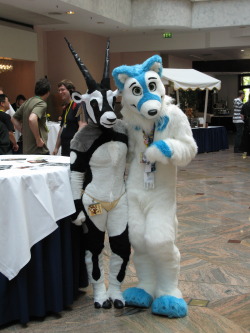 More pictures taken with other cute furries i ran into at EF.