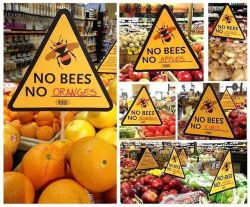 restless-spirit:  m00nchaser:  If bees become extinct we will have exactly 4 YEARS to live on this planet. I don’t understand how “not caring” is more important than your life…  Save the bees! 
