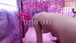 dumdolly:  The Puppy Princess ~ 11:44 ~ ů.99Who’s a good girl? It’s me! I crawl in my cage, warm up my princess plug before shoving it up my bum and paddle myself for being such a naughty pup! I show off my pretty sparkly plug and play my pussy