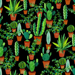 endymion-:  Cacti by Sian Keegan (x) 