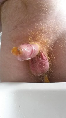 ginger-fur:  Request: piss in condom. Then I pissed in another one while wearing boxers, didn’t have that great effect until I whipped it out and started jerking, all that piss sloshing around my cock, piss started leaking out, soaking around the crotch