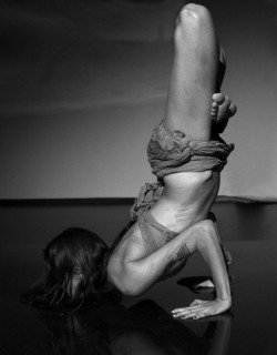 fitnessnyoga:Yoga and fitness inspiration. Subscribe and follow for more beautiful yoga pictures. http://magazine.idph-europe.com/blog/padmasana-la-position-du-lotus/   