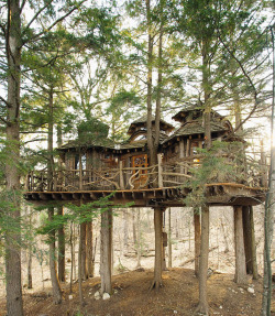 treehauslove:  A Treemansion. Pete Nelson’s creation 25-feet up in mature hemlock trees. The treehouse accommodates 4 persons and has full plumbing with cold and hot water. The stiff construction survived a hurricane in 2011. Located in Topridge, New
