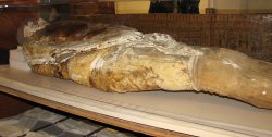 “Soapman,” circa 1800s  A new type of mummy was found in the late 19th century… in Philadelphia. The unexpected find was unearthed by accident during a construction project in 1875. There are different accounts as to why the remains were being