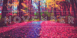 November on We Heart It http://weheartit.com/entry/85148643/via/its_a_fairytale