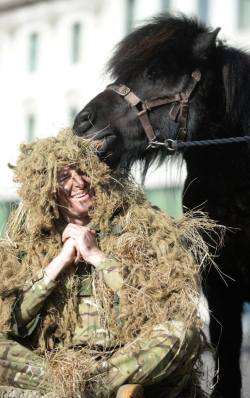 taytay0928:  j-wolf-harding:  Great picture of Sniper Corporal Pat McKinney, 31, from 6th Battalion The Royal Regiment of Scotland, discovers that his sniper suit is somewhat irresistible to the Regimental Mascot, Shetland Pony, Cruachan 4th. Pat and