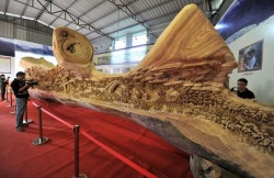 escapekit:  40-foot hand carved sculpture  Chinese wood carver Zheng Chunhui’s incredible hand-carving skills has created this beautiful carving. Standing more than 40 feet long, almost 8 feet wide, and, at one point, 10 feet tall, the massive work