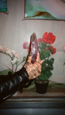 cantcolonizethispussy:  everyone whos been asking about my amethyst dildo ~ you can get your crystal dildo at chakrubs.com and use code ‘trustmedaddy’ for 10% off anything on the site