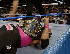 wrestlingchampions: In 16 Intercontinental Championship Ladder matches, the results are as follows: Bret Hart retained in WWE’s first against Shawn Michaels, who would go on to retain the Title in 1995 by defeating Razor Ramon months after Ramon won