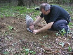 ambers-obsession:  tibets:  remember when i dug a hole and put myself in it because i wanted to be closer to the earth and i wanted to feel like a plant and then this fucking old man came and tried to kill me  i think that’s enough internet for one