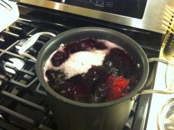 counttheshaddows:  When my mom asked me what I wanted for dinner I said the blood of my enemies.  