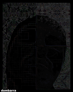 Made of pixels #art #gifart #gif #portrait www.behance.com/dombarra http://dombarra.tumblr.com