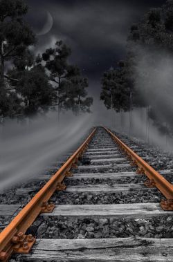 bluepueblo:   Mystical Rail, The Enchanted Wood photo via red 