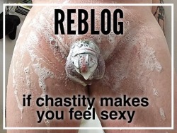 Permanently horny, permanently frustrated.  Follow my original chastity captions at:SFW: https://originalchastitycaptions.tumblr.com/NSFW: http://bit.ly/originalchastitycaptionsNew captions posted daily!  