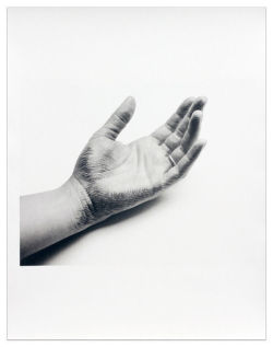 Liliana PorterUntitled (hand with cross hatch drawing and ring), 1973-printed 2012