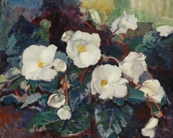 art-and-things-of-beauty:  Frans Oerder (South African, born Netherlands, 1867-1944), Begonias. Oil on canvas, 40.3 x 50.5 cm. 