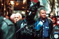 pupbolt:  Just found another picture of me at Folsom Europe last year, taken by Manuel Moncayo and posted on the official folsomeurope.info website. Looking forward to this year! *wags* 