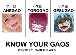 tsukum:SPECIFIC ANIME FACIAL EXPRESSION TERMINOLOGY GUIDE BY YOUR FRIENDLY NEIGHBORHOOD -GAO EXPERTahegao (アヘ顔): lit. “panting face,” ahegao refers specifically to a facial expression where the character’s eyes are rolled back and their tongue