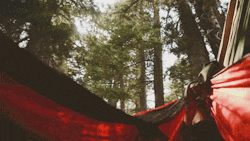 hikewhileyoucan:  0ct0-pussy:  onedayrobotswillcry:  Hammocking is one of my all time favorite things to do  Sewing my new hammock now!  hike while you can 