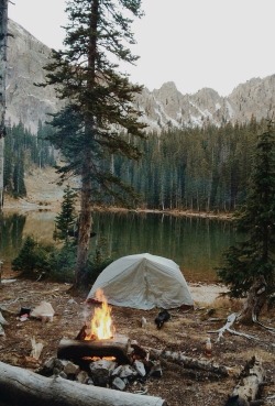 I need to go camping. I&rsquo;m feeling so exhausted and emotionally drained. I need my bare feet on the earth.