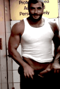 bannock-hou:  Mike Dozer jacking off in a public mensroom BEARDED  MUSCLE BEAR in a  BEATER  in PUBLIC , Mike Dozer 