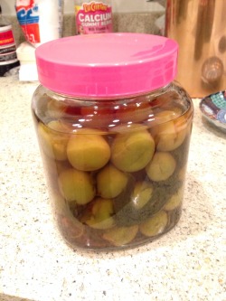 Ended up making two batches of umeboshi (pickled plums) because the first batch came out so good! It&rsquo;s finally in a nicely sealed 1.5L glass bottle I picked up at Daiso today.  Now I gotta be careful not to eat all these real quick&hellip;