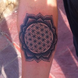 #tattoo #tatuaje #ink #inkjunkeyz #mandala #brazo #geométrico #negro #sombras #lineas #line #friend #venezuela #lara #barquisimeto #black #flor #hindu #flordelavida