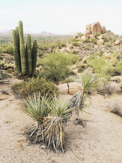 jakedebruyckere:  Desert Vibes - iPhone    Instagram     VSCO Grid     Portfolio 