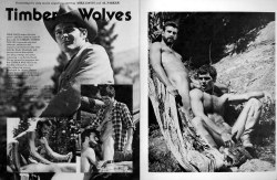 Timber Wolves series #1 - Al Parker and Mike Davis