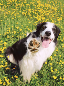 megpricephotography:  Gimme Five! 