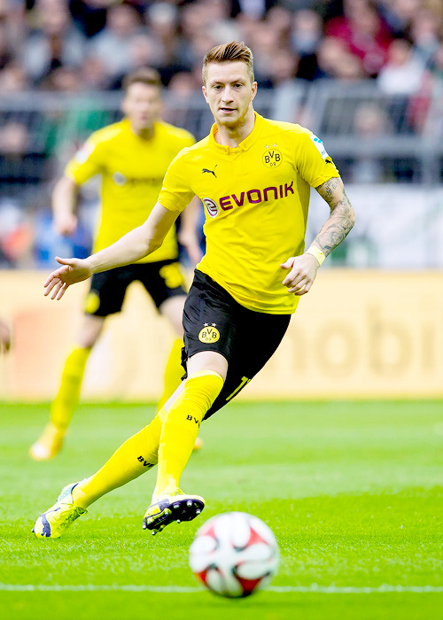 Borussia Dortmund - Page 17 Tumblr_ne0jvpJyCF1tgpyajo1_500