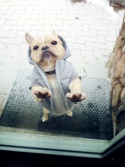 tailoredsheets:  dude, let me in.