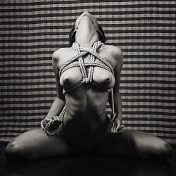kinkwearlove:  Larger version  Beautiful position, and it looks like she&rsquo;s tied herself.  That&rsquo;s good training, any man would be proud to own this one.