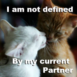 solitary-persephone:  Kittens bust biphobia myths. These are pretty basic, but hey, I still hear ‘em.  So there you go. 