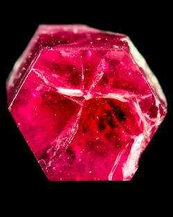 phrux:fuckyeahmineralogy:Red Beryl [x]Aquamarine [x]Pyrite on Rhodochrosite [x]Fluorite [x]Malachite Stalactite [x]Cobaltoan Calcite [x]Rhodochrosite [x]Dioptase [x] Fluorite [x] Spessartine [x]   