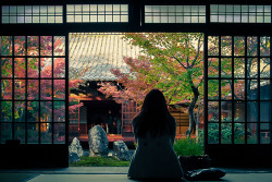 ourbedtimedreams:   	Zen Garden by Ann Hung    	Via Flickr: 	Photo taken at Kennin-ji (建仁寺) in Kyoto, Japan  