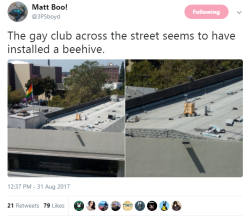 septembriseur:  emperor-of-roses: reblog to support these gay bees #i believe you mean the gay club has installed a second smaller gay club#for the gay bees (@fursasaida) 