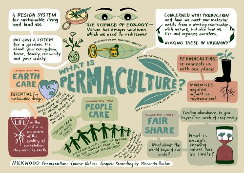 toadstoolgardens:  What is Permaculture &amp; The 12 Principles of PermacultureGraphics by Mirranda Burton, Information from Milkwood’s Online Permaculture Living Course