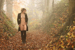fussyfella:  I love autumn. Autumn Fog by artofdan70  How comes I never bump into ladies like this in the woods!