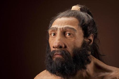 Modern humans and neanderthals