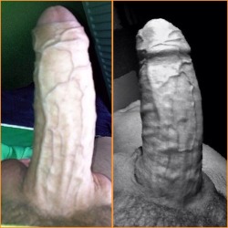 Big thick cock meat