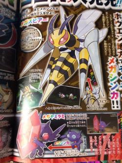 mattfgnu:  Mega Beedrill (Bug/Poison; Adaptability) and Mega Pidgeot (Normal/Flying; No Guard) leaked by Corocoro! 